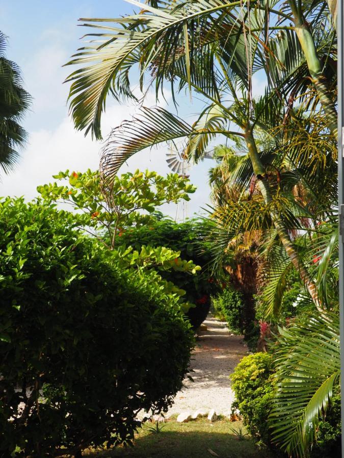 Kas Di Bami A-186 Op Seru Coral Resort - Ruim Appartement Met Groot Zwembad En Tropische Tuin Willemstad Ngoại thất bức ảnh